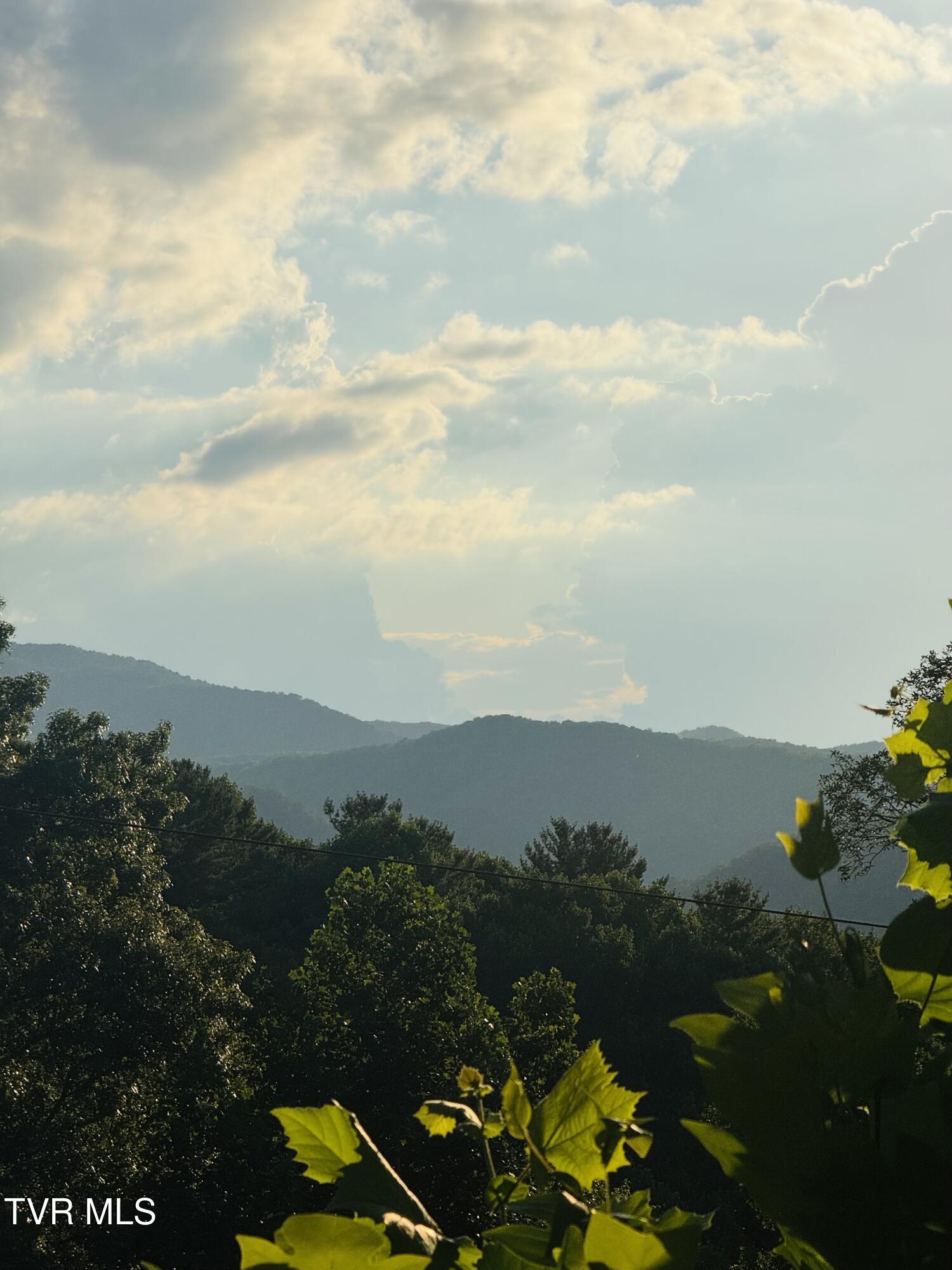 116 Hasty Boulevard Erwin, TN 37650 - Photo 9 of 45 IMG_5101