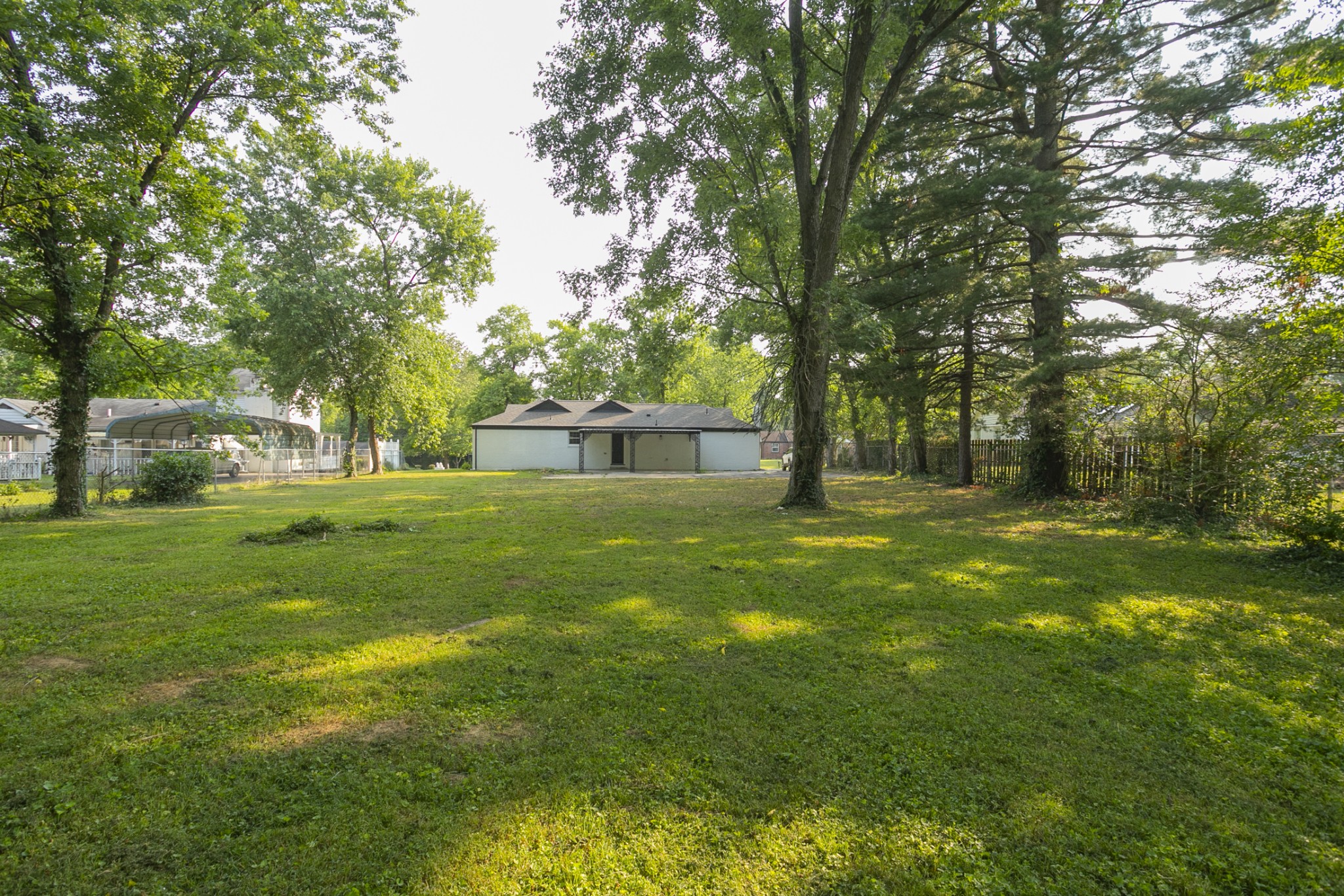 1229 Berwick Trail Madison, TN 37115 - Photo 46 of 47 a view of a tree in a yard with large trees