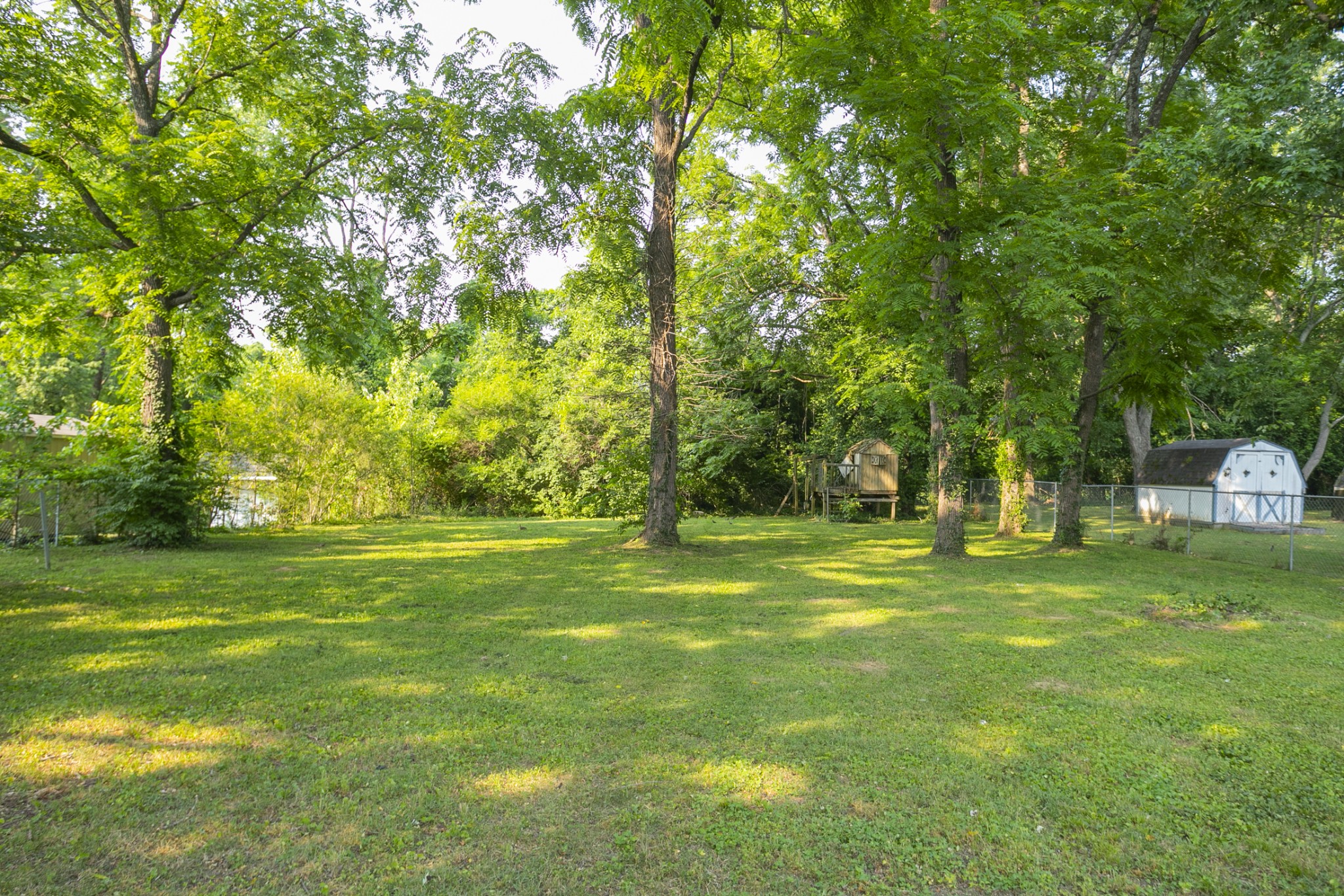 1229 Berwick Trail Madison, TN 37115 - Photo 47 of 47 a view of a trees in a yard