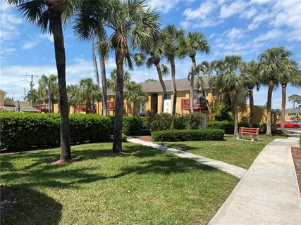a view of a park with palm trees
