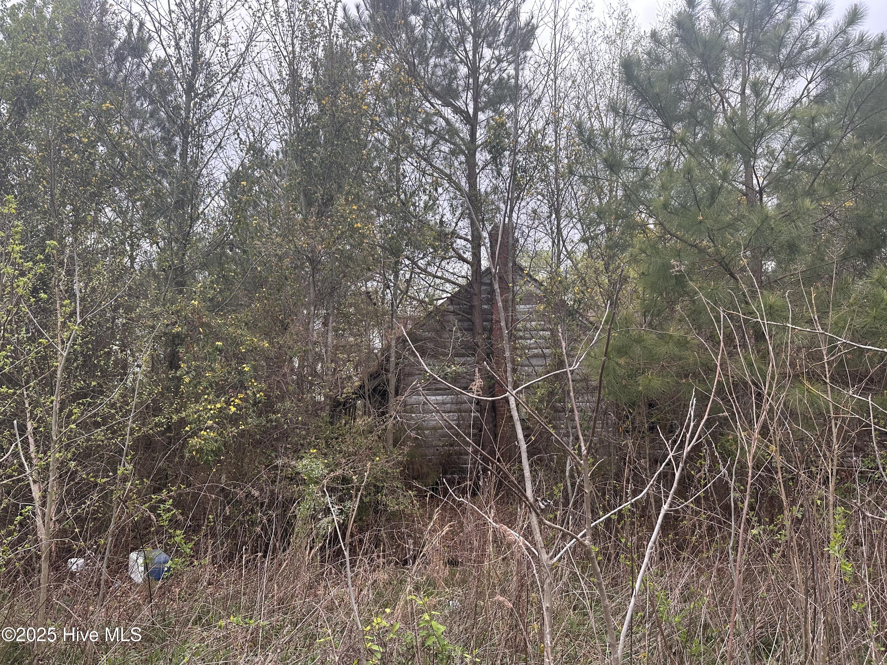1806 Castoria Road Walstonburg, NC 27888 - Photo 10 of 12 IMG_8894