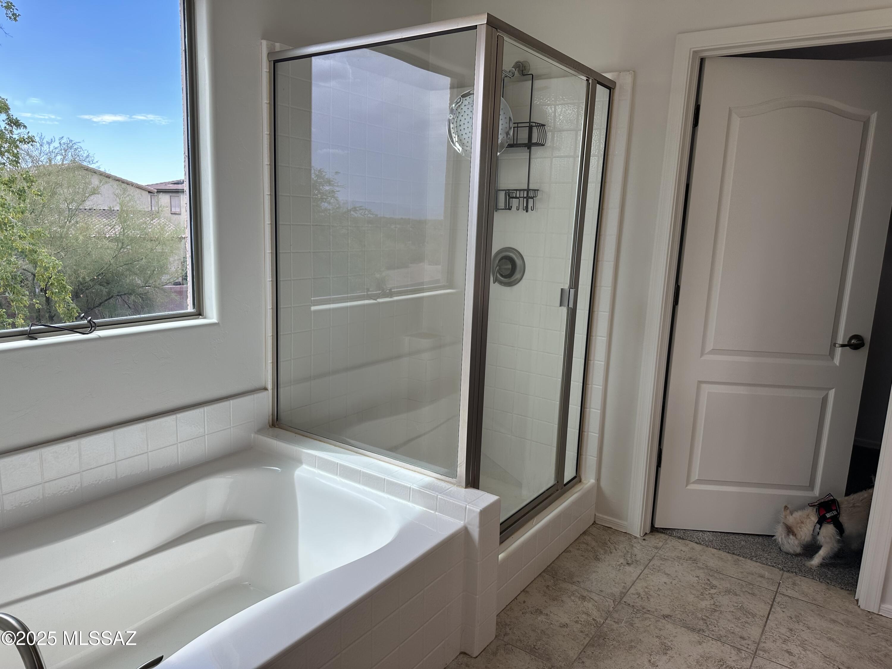 9270 South Sweet Spring Road Tucson, AZ 85756 - Photo 28 of 43 Gallery Image 28