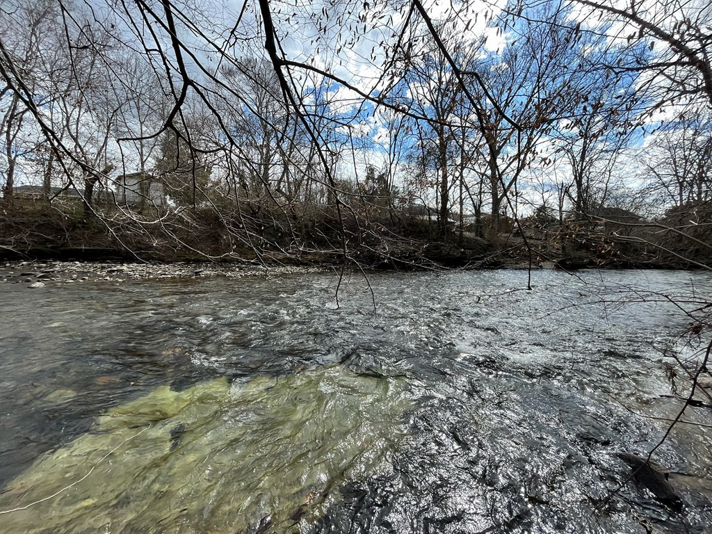 0 Shinbone Road Sevierville, TN 37876 - Photo 5 of 10