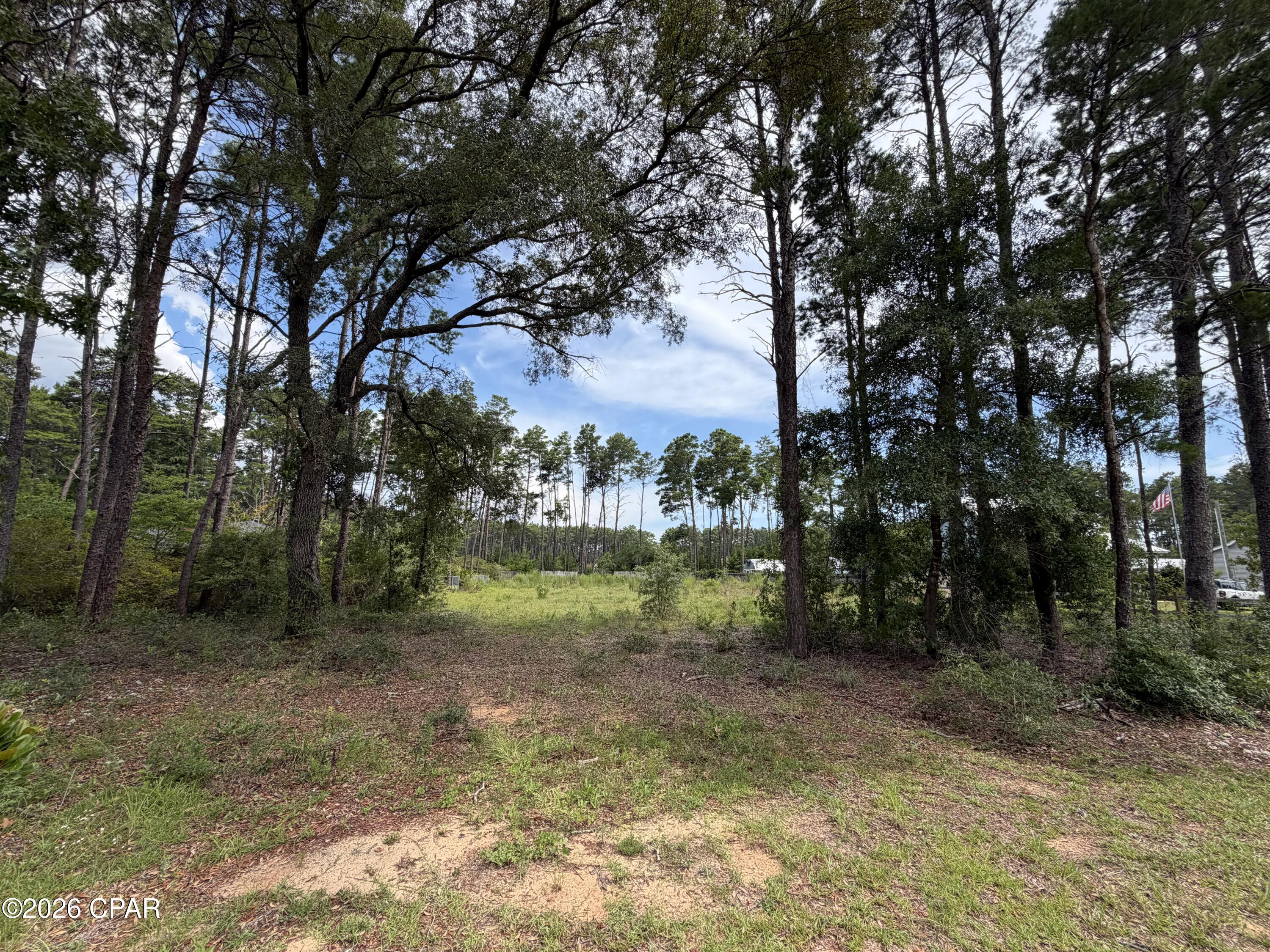 0 Co Highway Freeport, FL 32439 - Photo 1 of 3