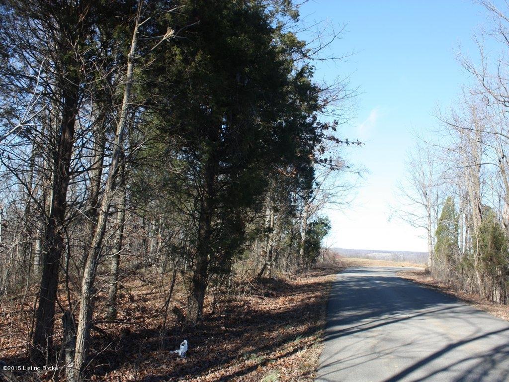 3106 Yeaman Olaton Road, Unit T7 Olaton, KY 42361 - Photo 32 of 53 38Floyd Auction