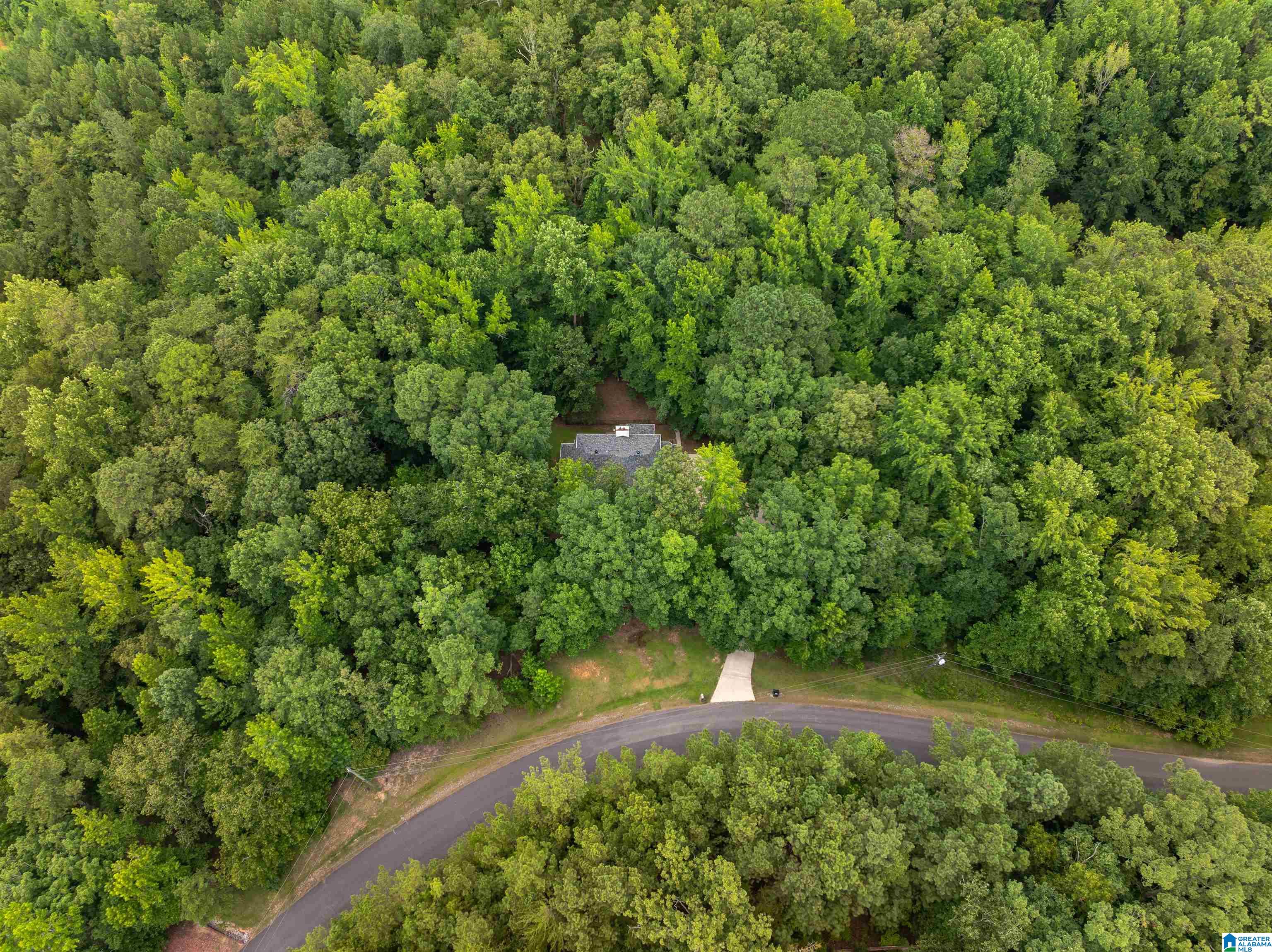 4522 Shadow Ridge Parkway Pinson, AL 35126 - Photo 55 of 61