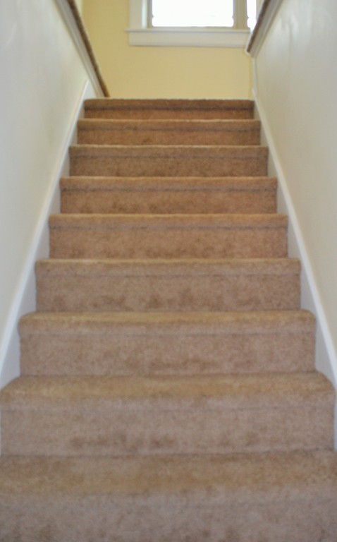 39 Trinity Terrace Springfield, MA 01108 - Photo 23 of 28