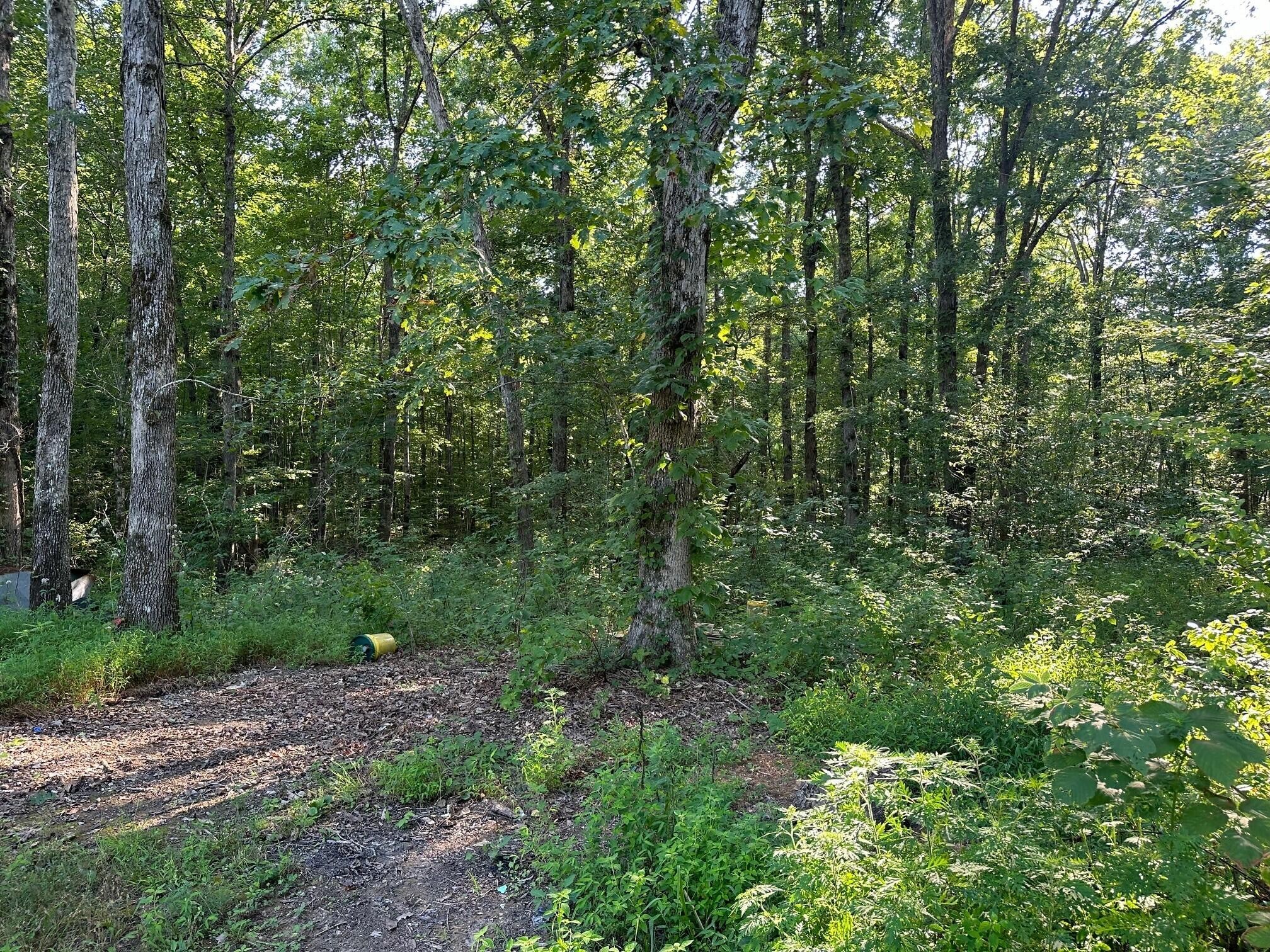4 Prater Road Pikeville, TN 37367 - Photo 17 of 17 Gallery Image 17