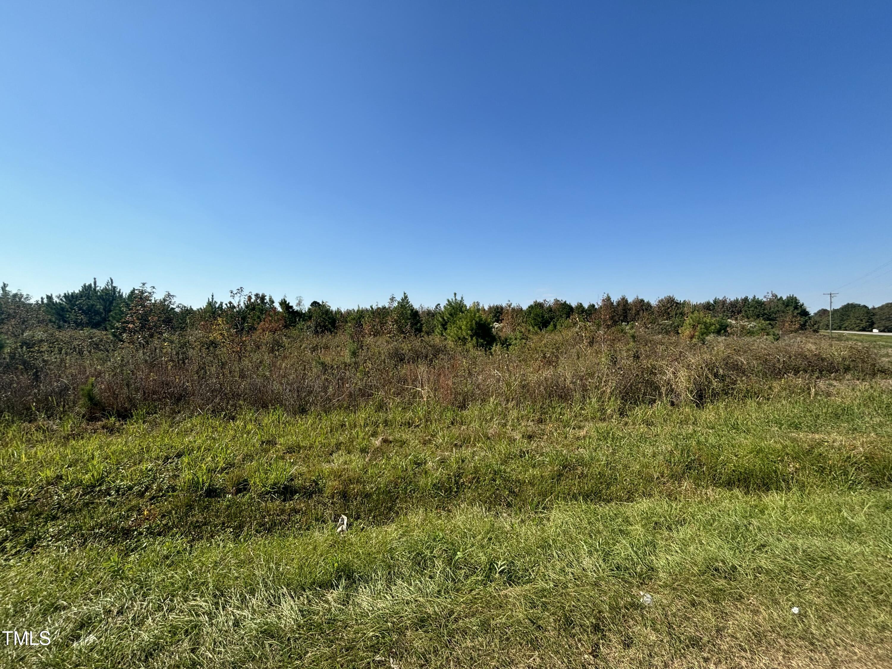 0 Holly Grove Road Benson, NC 27504 - Photo 4 of 6 IMG_1901