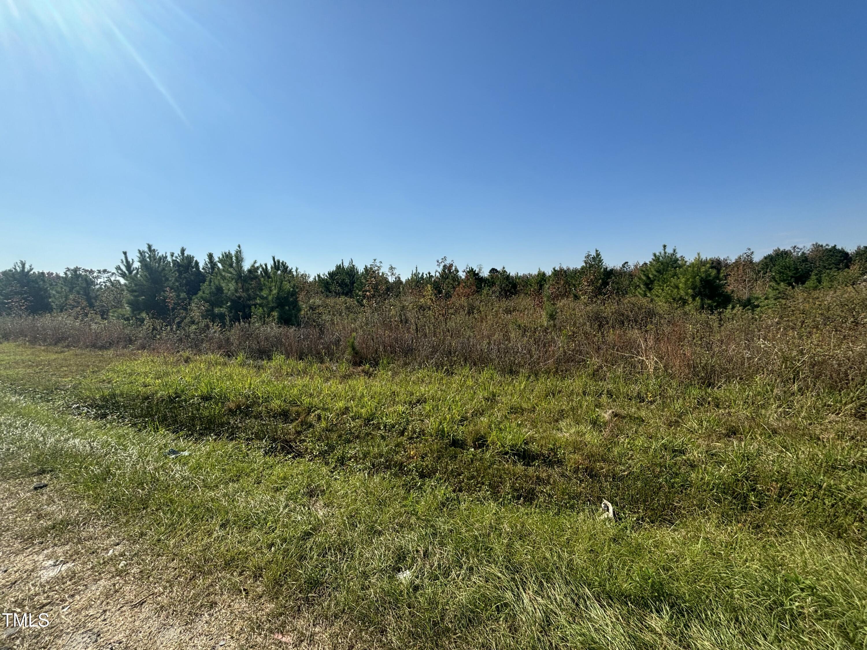 0 Holly Grove Road Benson, NC 27504 - Photo 5 of 6 IMG_1900