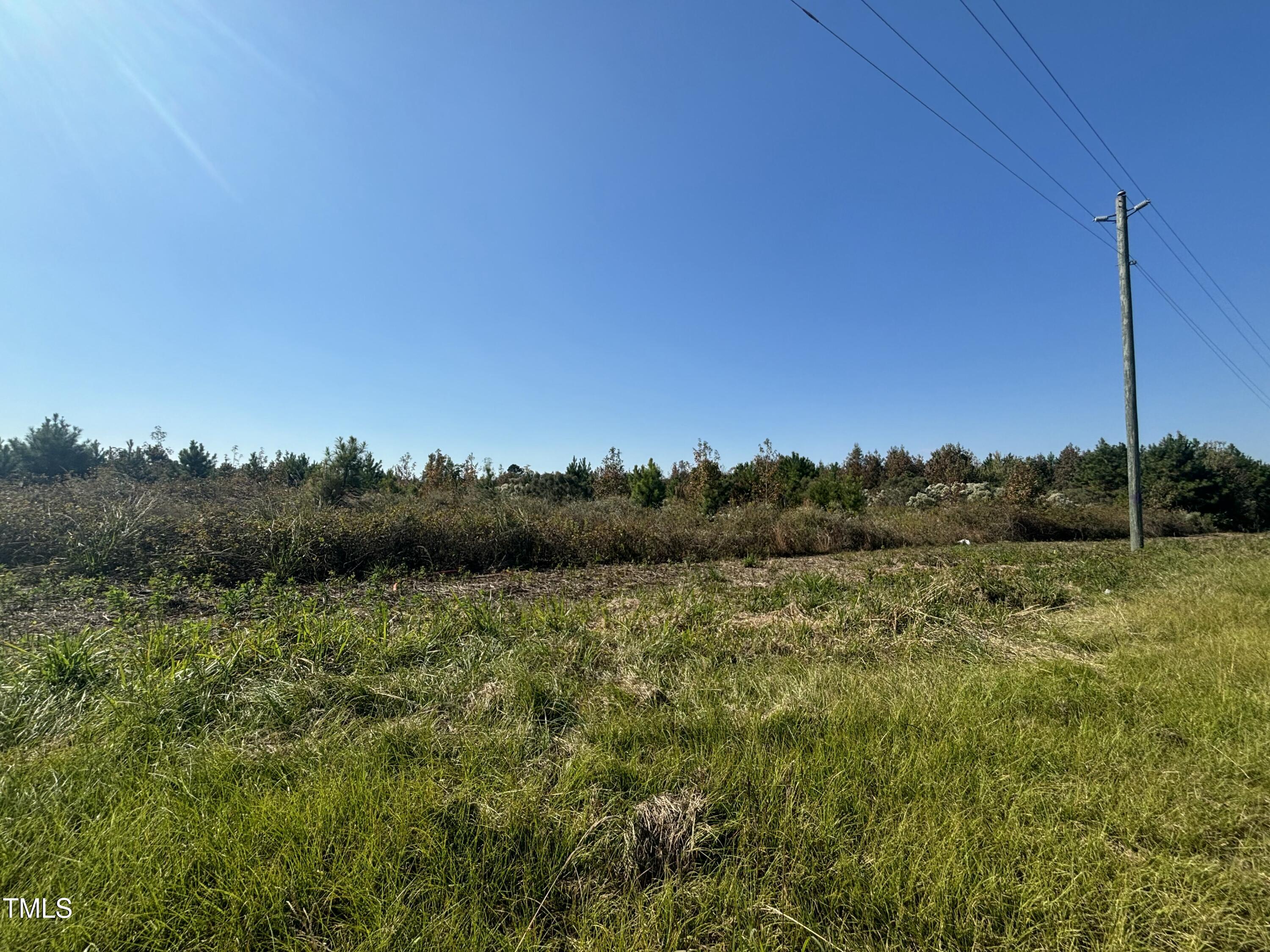 0 Holly Grove Road Benson, NC 27504 - Photo 6 of 6 IMG_1896