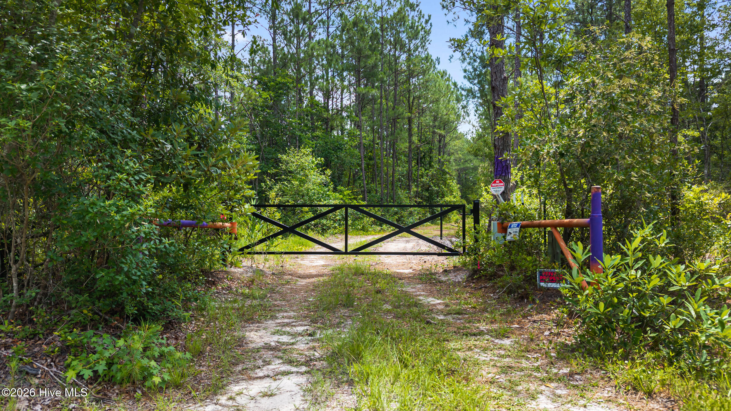 0 Tbd 110 Acres American Way Road Hampstead, NC 28443 - Photo 2 of 12