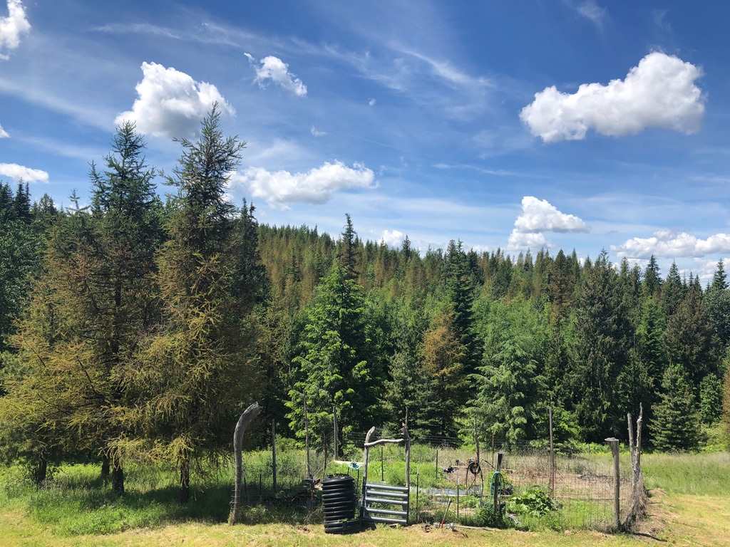 1521 Thompson Road Elk, WA 99009 - Photo 13 of 20 Gallery Image 13
