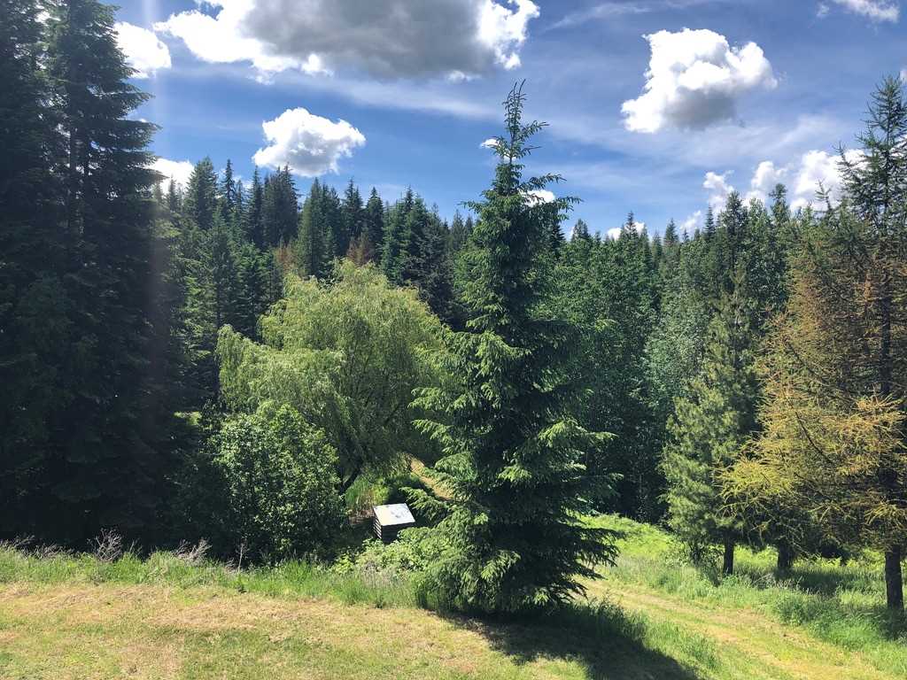1521 Thompson Road Elk, WA 99009 - Photo 14 of 20 Gallery Image 14