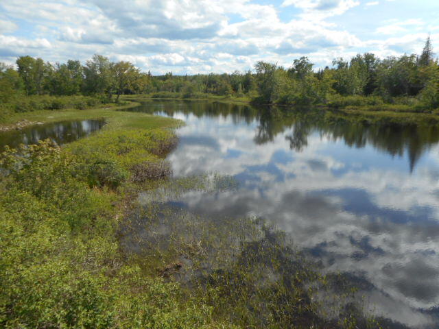 0 Station Road Howland, ME 04448 - Photo 6 of 13 DSCN5669