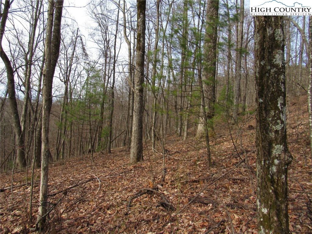 Mountain High Road Sparta, NC 28675 - Photo 1 of 15 Gallery Image 1