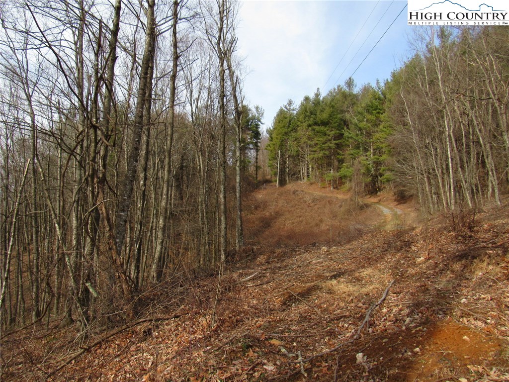 Mountain High Road Sparta, NC 28675 - Photo 11 of 15 Gallery Image 11