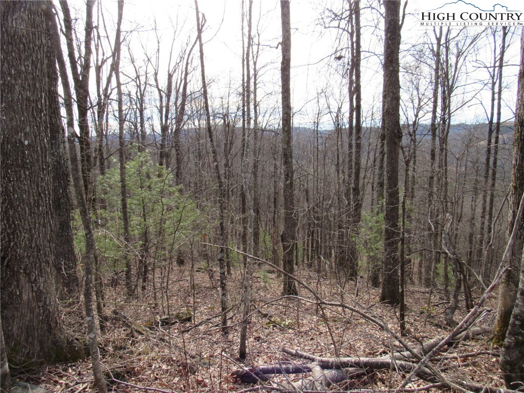 Mountain High Road Sparta, NC 28675 - Photo 12 of 15 Gallery Image 12