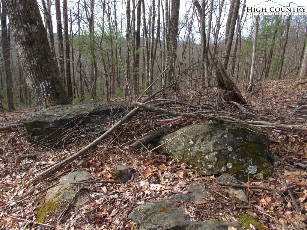 Mountain High Road Sparta, NC 28675 - Photo 15 of 15 Gallery Image 15