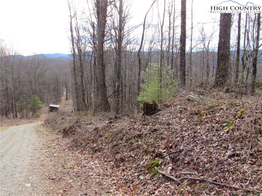 Mountain High Road Sparta, NC 28675 - Photo 3 of 15 Gallery Image 3