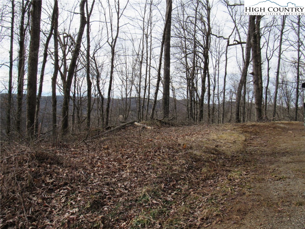 Mountain High Road Sparta, NC 28675 - Photo 4 of 15 Gallery Image 4
