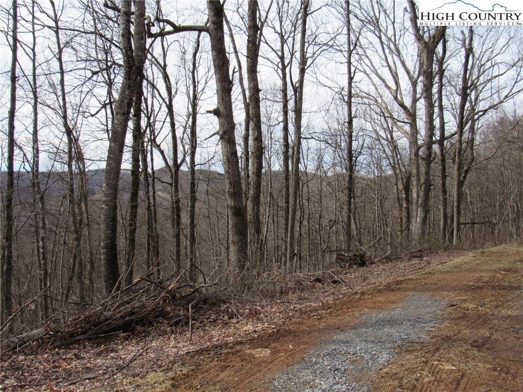 Mountain High Road Sparta, NC 28675 - Photo 5 of 15 Gallery Image 5