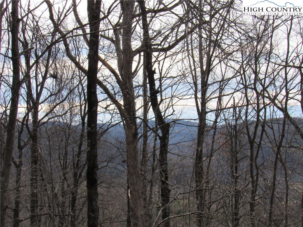 Mountain High Road Sparta, NC 28675 - Photo 6 of 15 Gallery Image 6