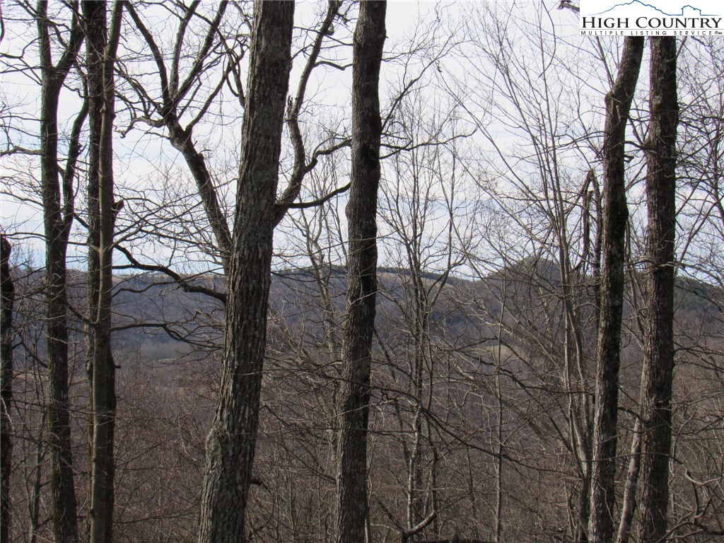 Mountain High Road Sparta, NC 28675 - Photo 7 of 15 Gallery Image 7
