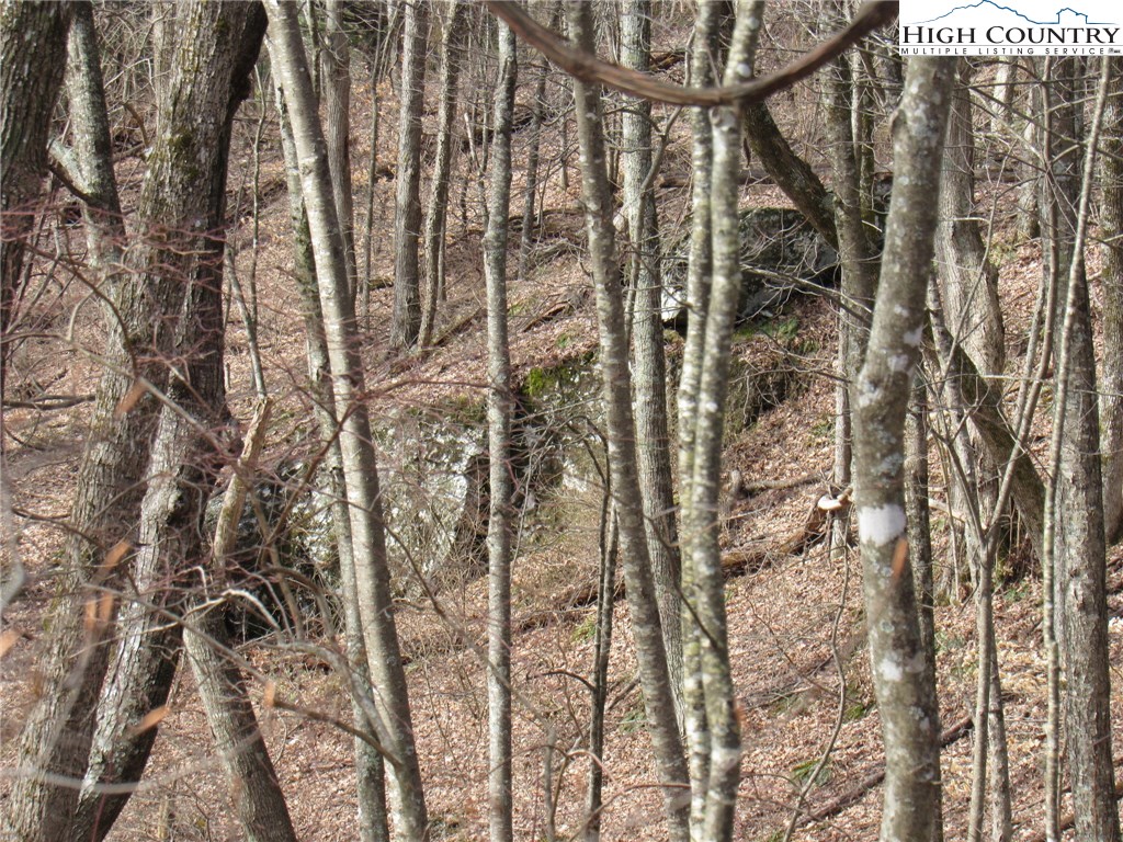 Mountain High Road Sparta, NC 28675 - Photo 8 of 15 Gallery Image 8