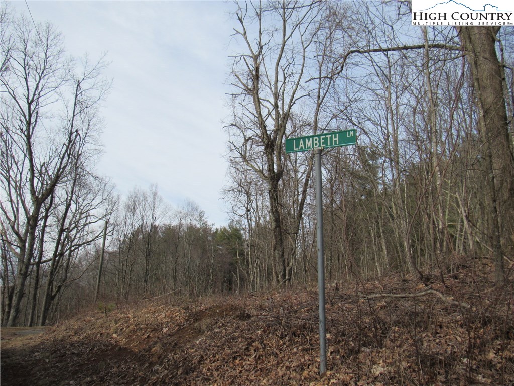 Mountain High Road Sparta, NC 28675 - Photo 10 of 15 Gallery Image 10