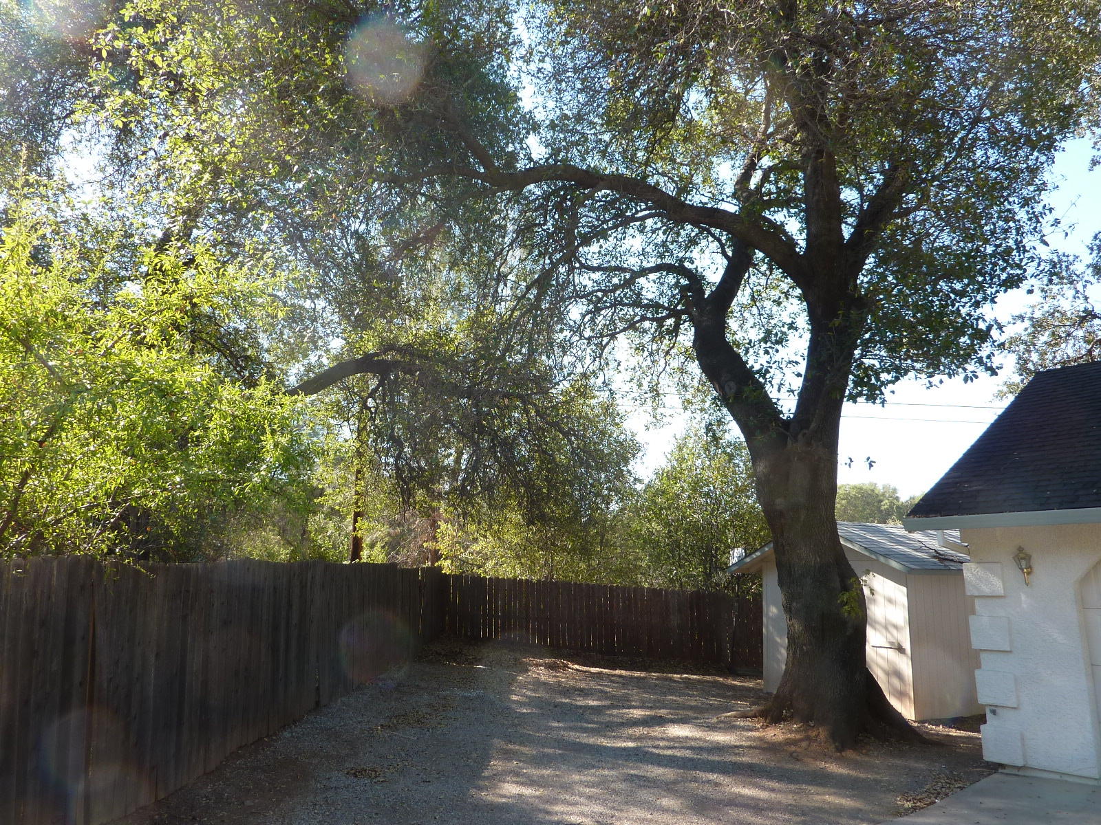 1099 Harpole Road Redding, CA 96002 - Photo 20 of 23 a view of outdoor space and yard