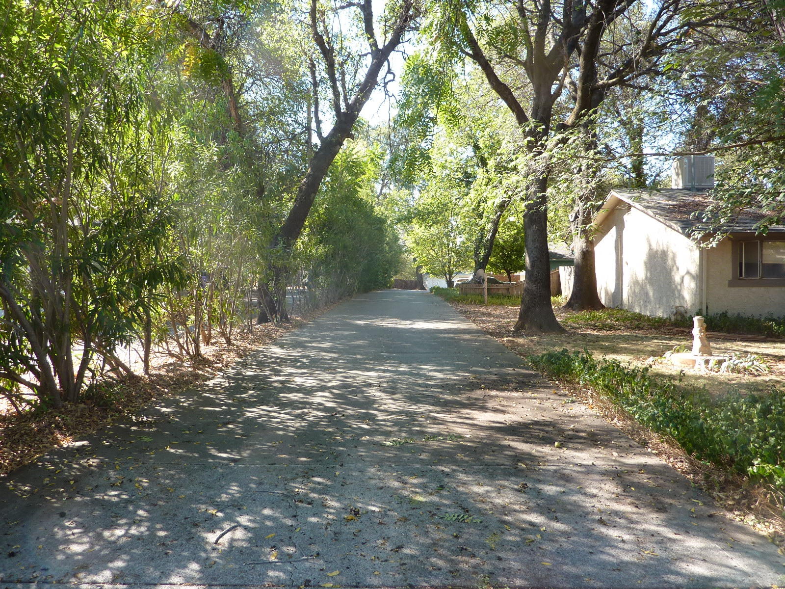 1099 Harpole Road Redding, CA 96002 - Photo 2 of 23 a view of a tree in the middle of a yard