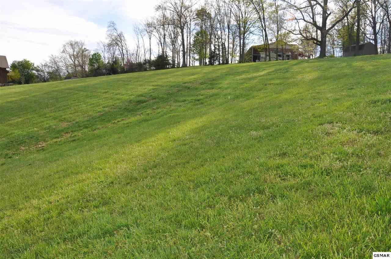 3 Hickory Ridge Road White Pine, TN 37890 - Photo 10 of 11 Gallery Image 10