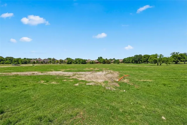 a view of a field with an ocean