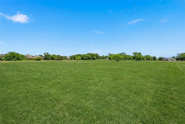 a view of a big yard with a large tree and a yard