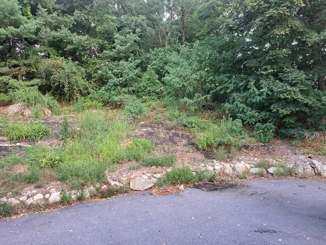 a car parked in front of a house