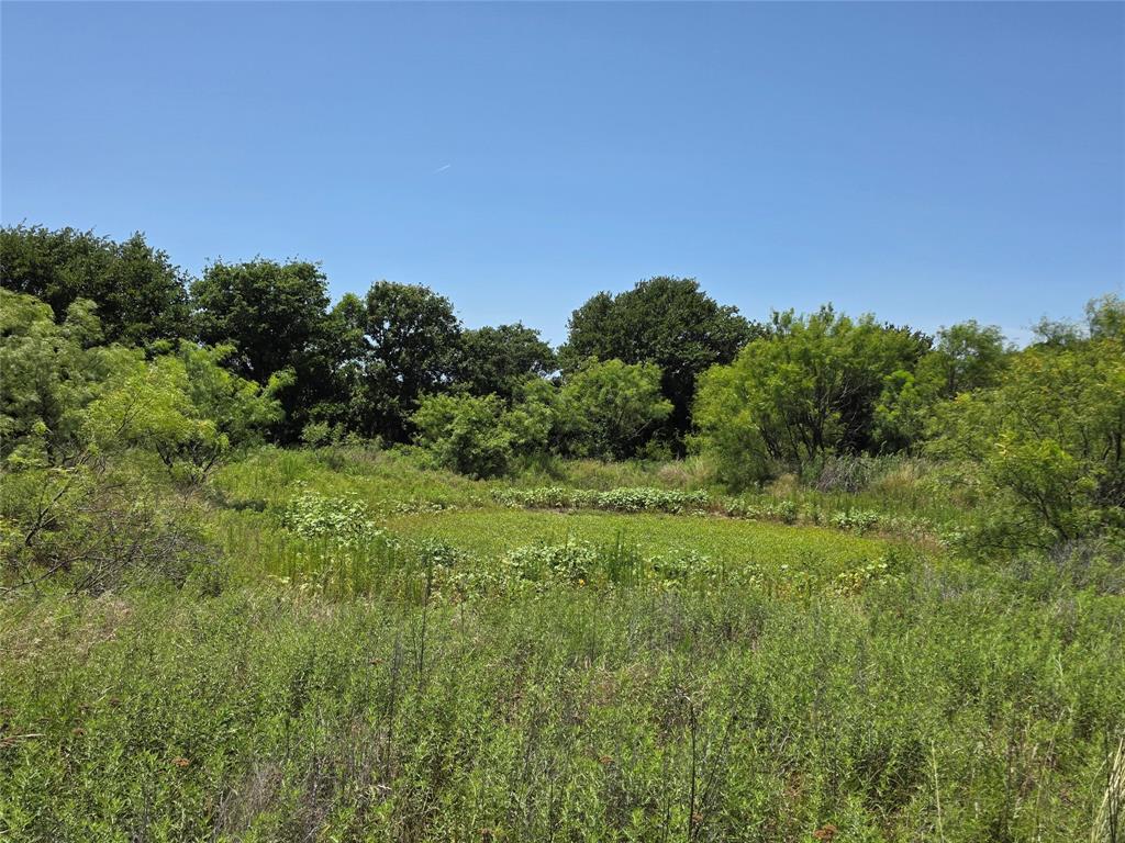 1000 County Road 375 Rising Star, TX 76471 - Photo 19 of 40