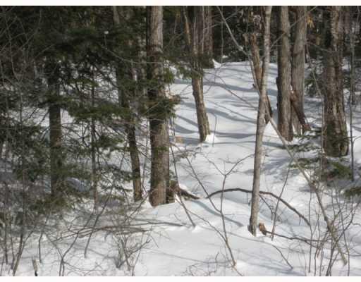 Lot 9 Rowe Hill Road Greenwood, ME 04255 - Photo 6 of 7 Land/Lot.