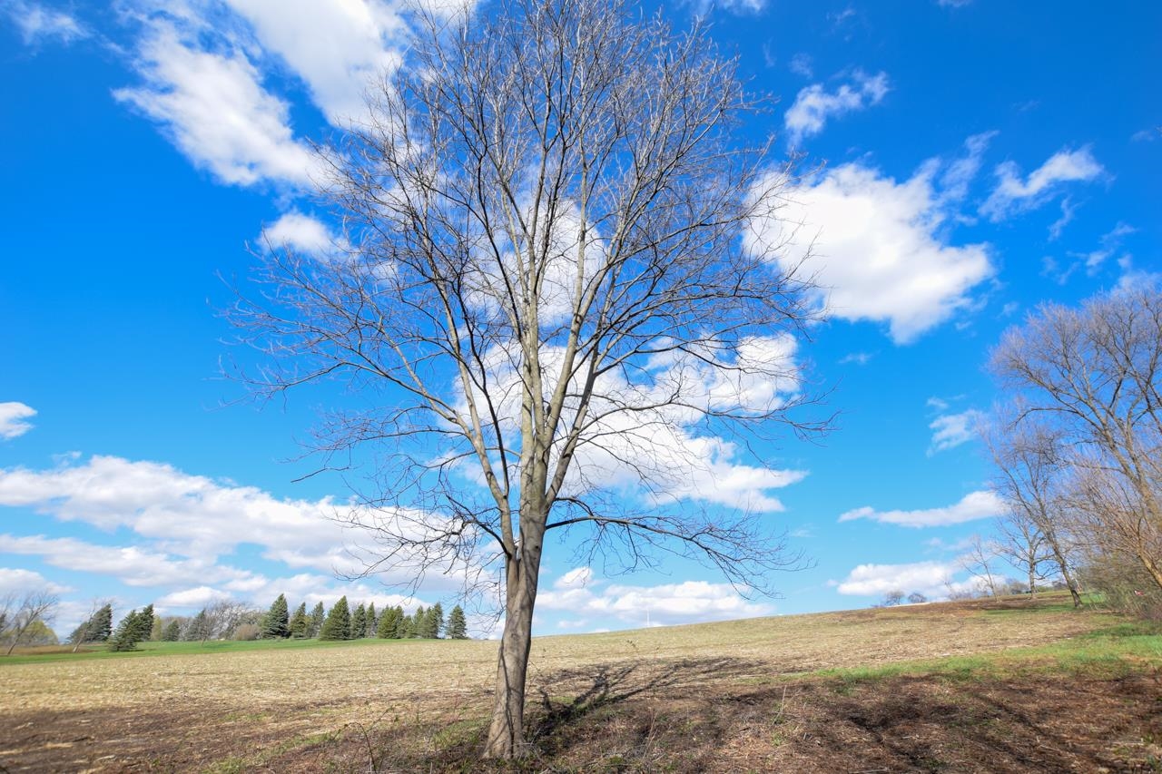 Lot 2 Monroe-sylvester  