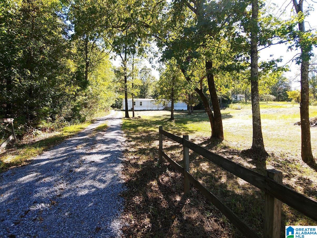 157 Heasletts Road Childersburg, AL 35044 - Photo 5 of 8
