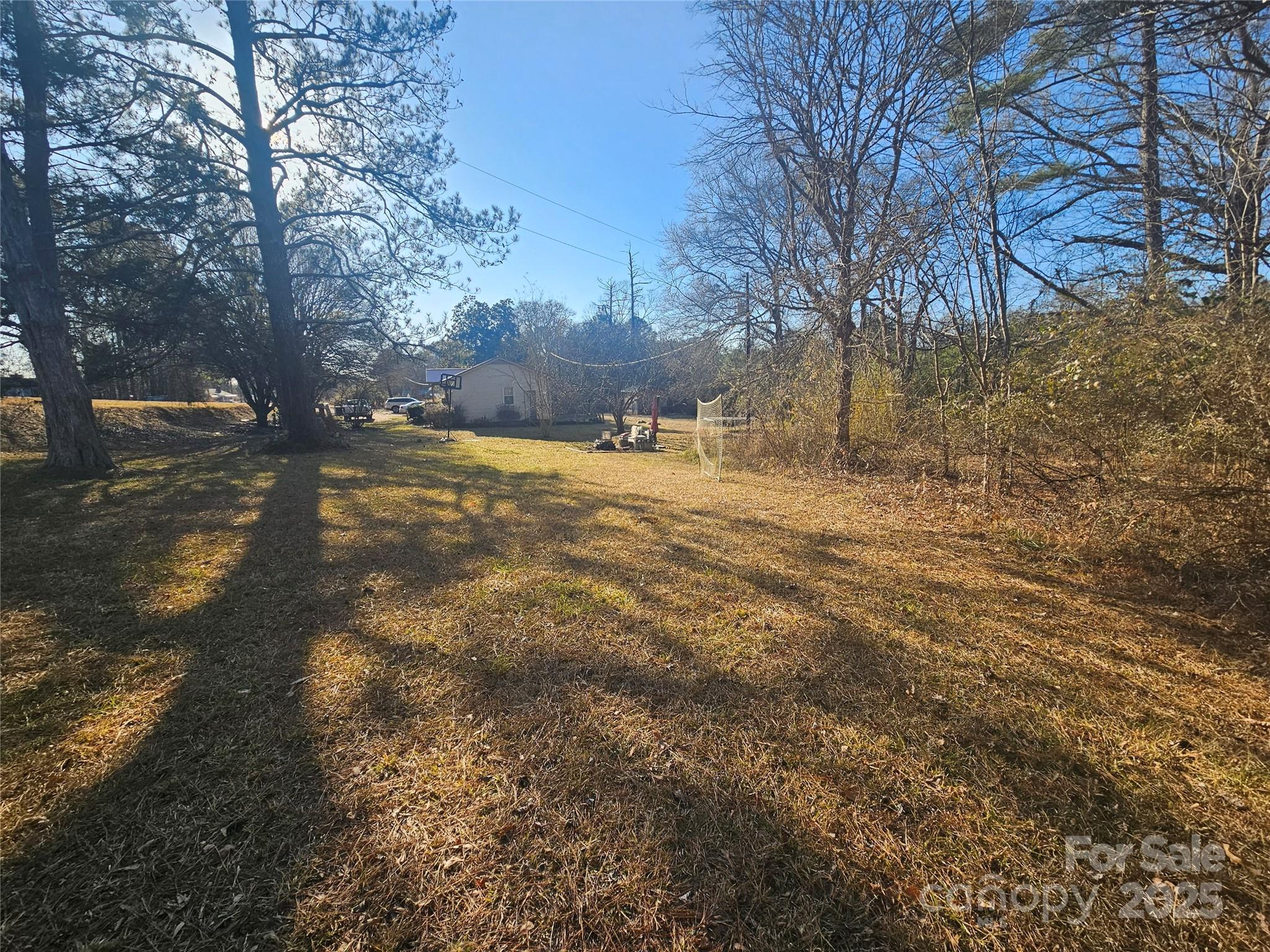 3406 West End Road Carlisle, SC 29031 - Photo 10 of 13 a view of large trees with yard