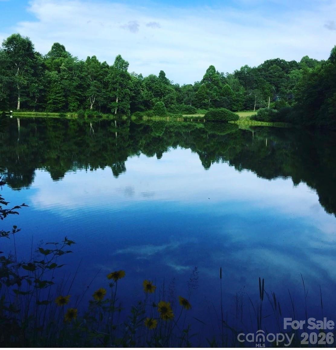 1359 Chestnut Grove Road Spruce Pine, NC 28777 - Photo 13 of 33