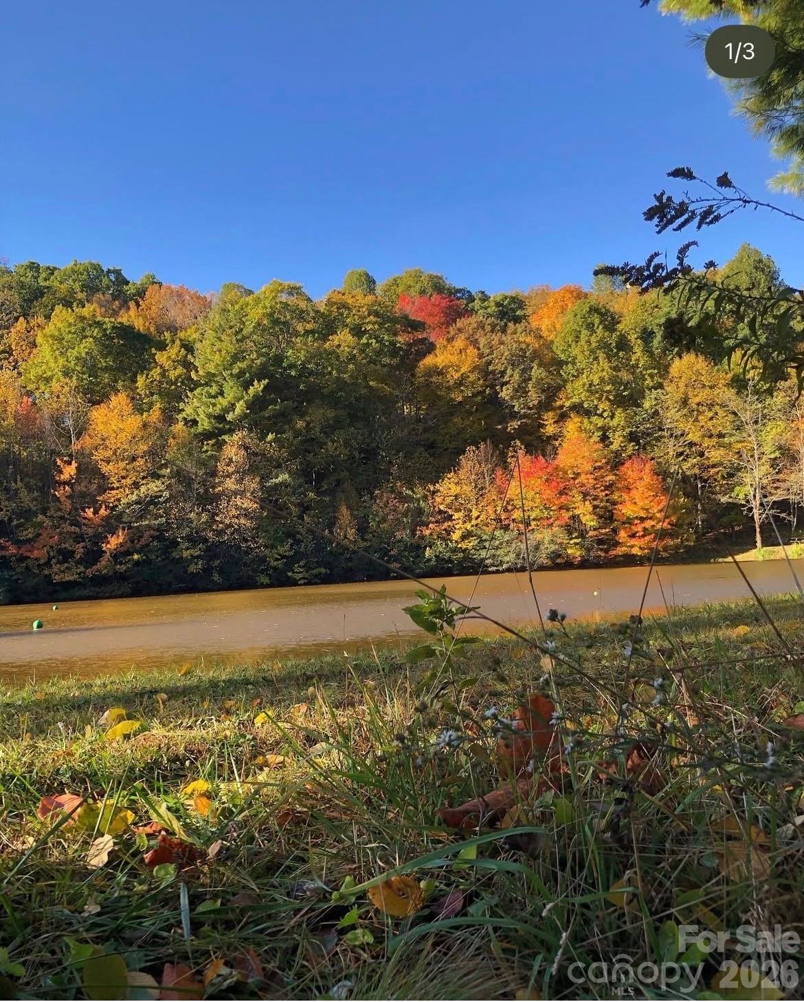 1359 Chestnut Grove Road Spruce Pine, NC 28777 - Photo 6 of 33