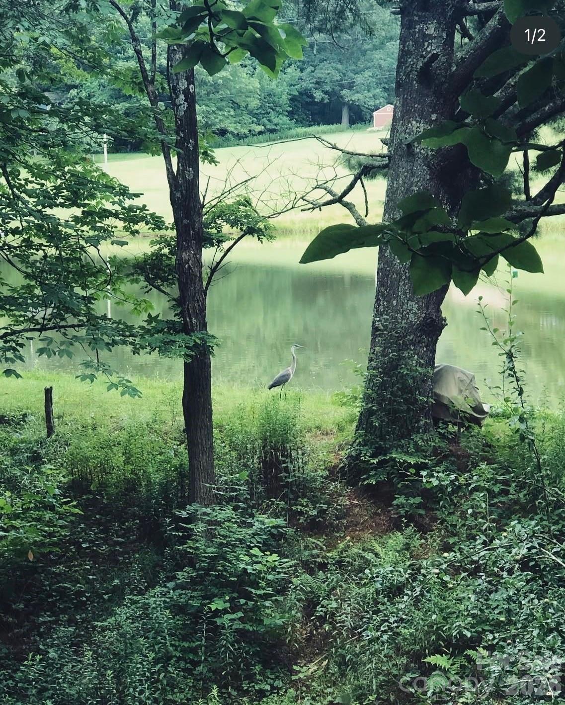 1359 Chestnut Grove Road Spruce Pine, NC 28777 - Photo 7 of 33