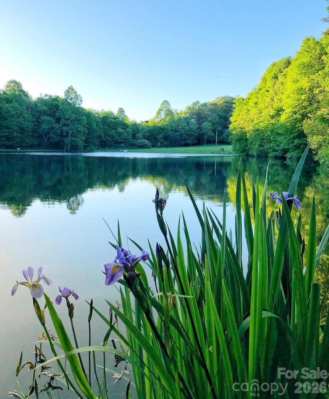 1359 Chestnut Grove Road Spruce Pine, NC 28777 - Photo 8 of 33