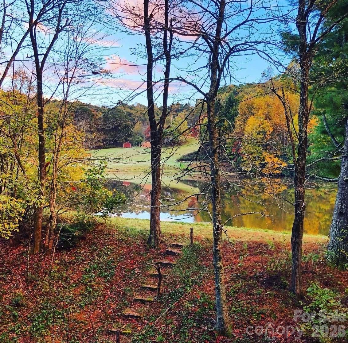 1359 Chestnut Grove Road Spruce Pine, NC 28777 - Photo 9 of 33