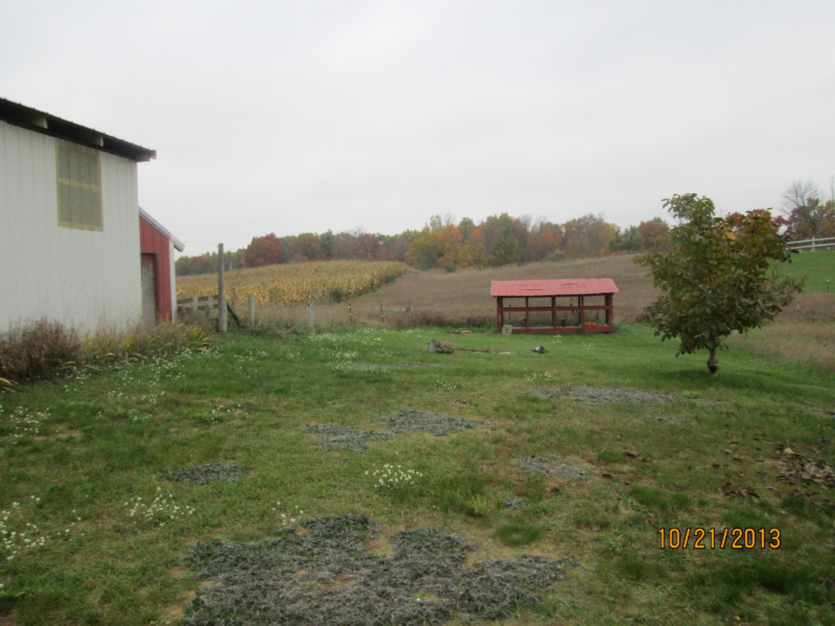 3655 Evergreen Road Southeast Stanton, MI 48888 - Photo 6 of 15 IMG_0729