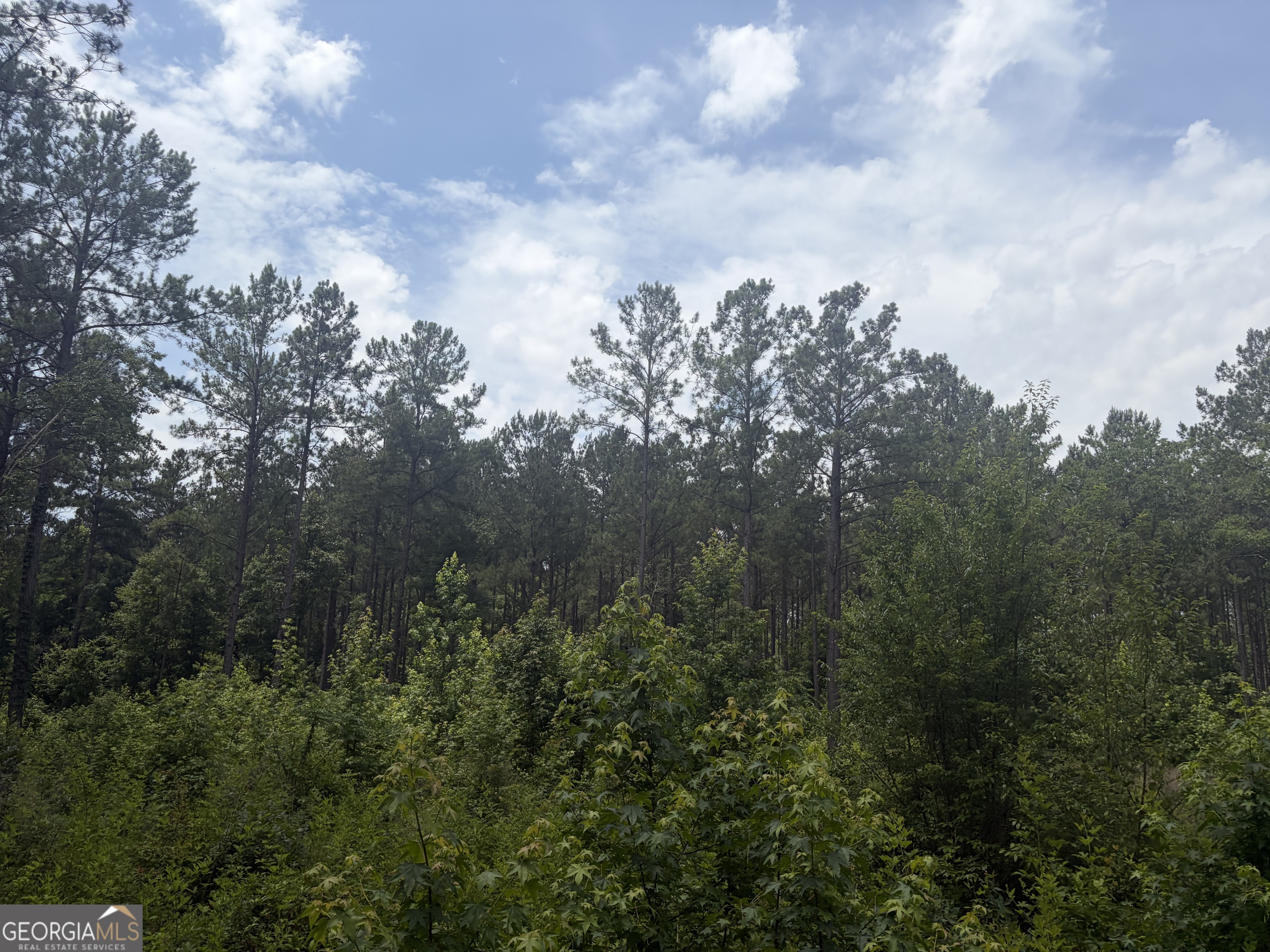 2 Sunhill Grange Road Sandersville, GA 31018 - Photo 6 of 8