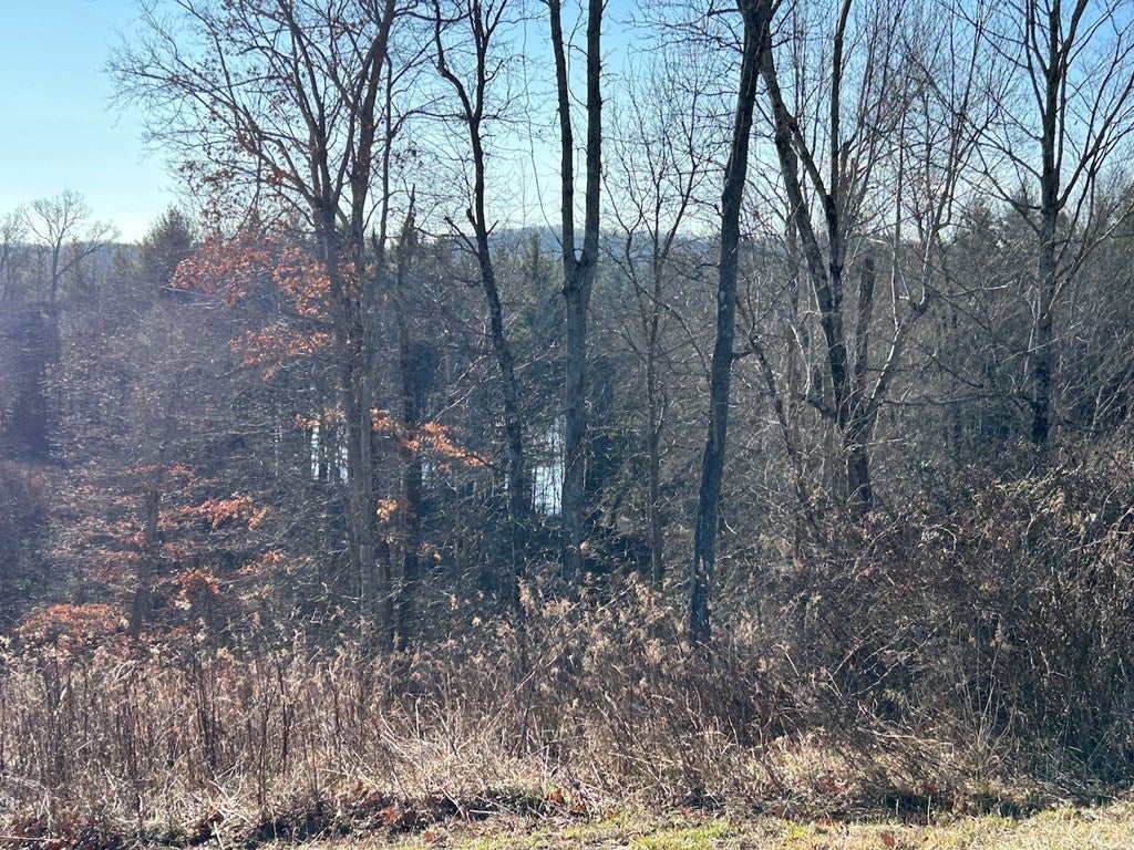 35.9-ac Rural Retreat Lake Road, Unit 7D Rural Retreat, VA 24368 - Photo 12 of 46 Gallery Image 12