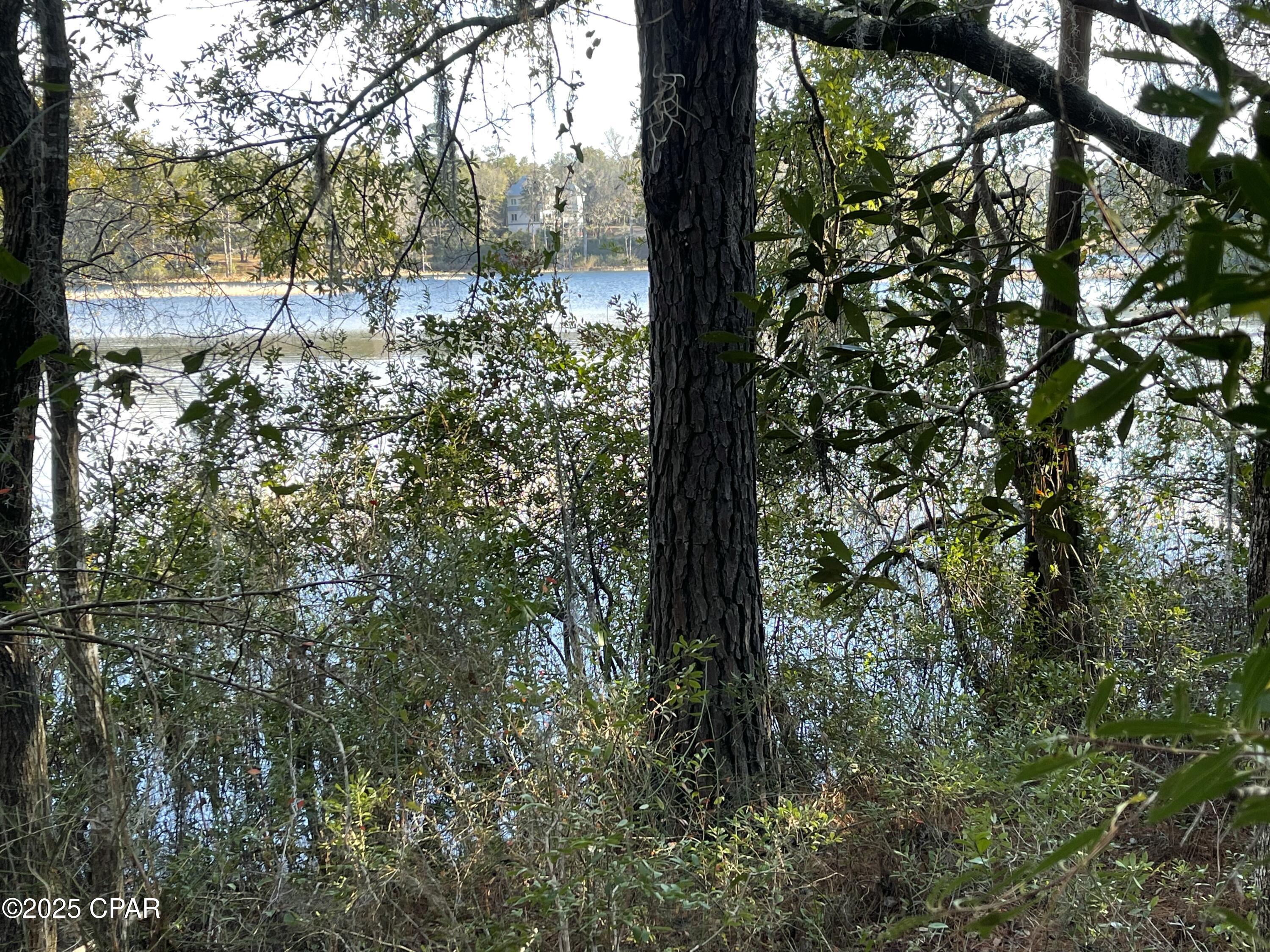 0 Bent Oaks Road Chipley, FL 32428 - Photo 10 of 21